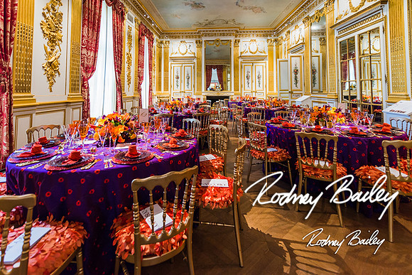 4-25-14 CORCORAN BALL DECOR_Rodney Bailey Photography_EventPhotojournalism_0586