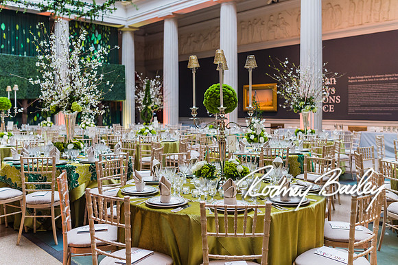 4-25-14 CORCORAN BALL DECOR_Rodney Bailey Photography_EventPhotojournalism_0236