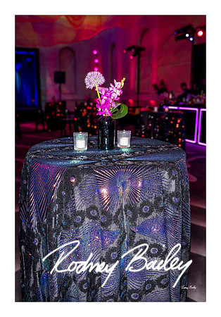 0785_1-11-25_Paul-50th-Birthday-Celebration-Renwick-Gallery-Washington-DC-Rodney-Bailey-Photography