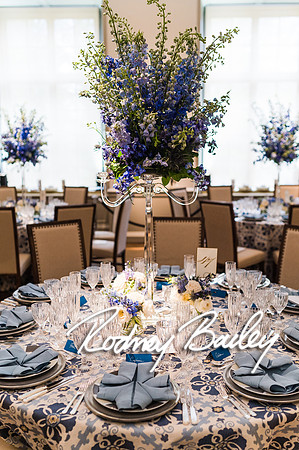 4-25-14 CORCORAN BALL DECOR_Rodney Bailey Photography_EventPhotojournalism_0271