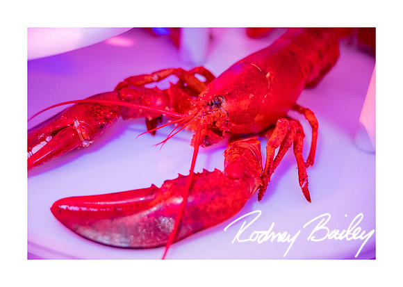0853_1-11-25_Paul-50th-Birthday-Celebration-Renwick-Gallery-Washington-DC-Rodney-Bailey-Photography