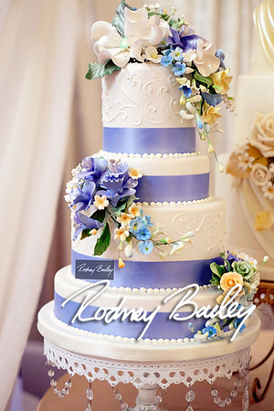0118_3-1-15_ C a p i t a l   B r i d a l   A f f a i r  &  F a s h i o n   S h o w_Rodney Bailey Wedding Photography Washington DC_Mayflower Hotel DC