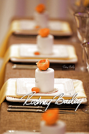 0086_3-1-15_ C a p i t a l   B r i d a l   A f f a i r  &  F a s h i o n   S h o w_Rodney Bailey Wedding Photography Washington DC_Mayflower Hotel DC