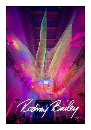0896_1-11-25_Paul-50th-Birthday-Celebration-Renwick-Gallery-Washington-DC-Rodney-Bailey-Photography