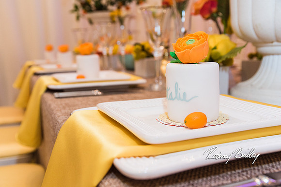 0110__3-1-15_Capital Bridal Affair and Fashion Show_The Mayflower Renaissance_Washington DC_Wedding Photography by Rodney Bailey