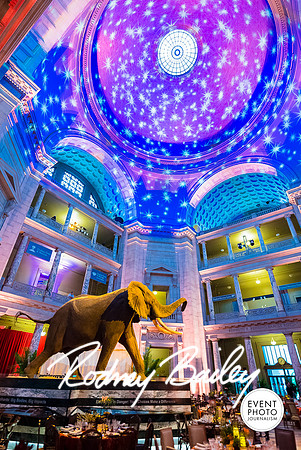 Host-Your-Event-at-the-Smithsonian-Washington-DC-event-photographers-Event-Photojournalism-photography__0098