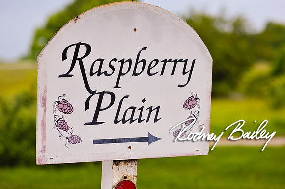 Raspberry Plain Wedding Photographer_Leesburg Virginia