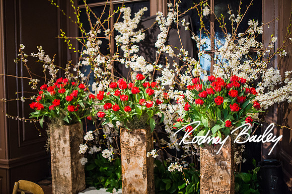 4-25-14 CORCORAN BALL DECOR_Rodney Bailey Photography_EventPhotojournalism_0185