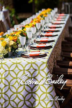 5-20-14 NACE MAY MEETING-GUNSTON HALL_Rodney Bailey Photography_0126