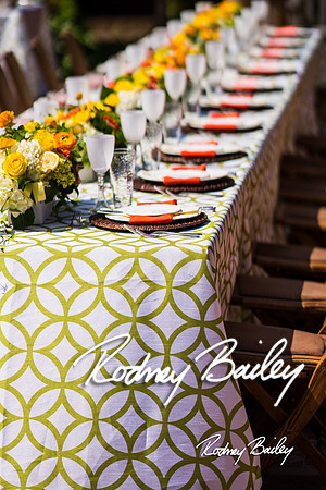 5-20-14 NACE MAY MEETING-GUNSTON HALL_Rodney Bailey Photography_0119
