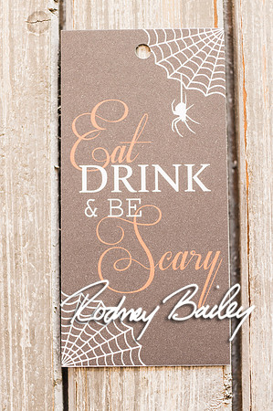 0241__10-17-14_Welcome To My Wedding_Rodney Bailey Photography