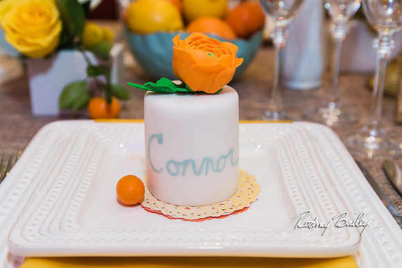 0102__3-1-15_Capital Bridal Affair and Fashion Show_The Mayflower Renaissance_Washington DC_Wedding Photography by Rodney Bailey