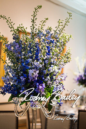 4-25-14 CORCORAN BALL DECOR_Rodney Bailey Photography_EventPhotojournalism_0262