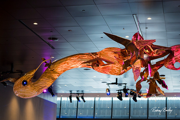 National-Museum-of-African-American-Museum-Washington-DC-event-photos-Rodney-Bailey-Photography__0125
