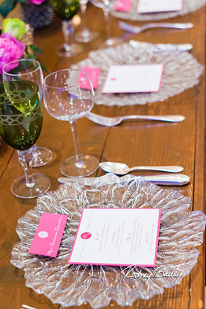 0173__3-1-15_Capital Bridal Affair and Fashion Show_The Mayflower Renaissance_Washington DC_Wedding Photography by Rodney Bailey