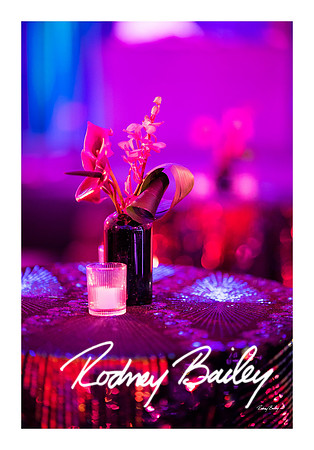 0723_1-11-25_Paul-50th-Birthday-Celebration-Renwick-Gallery-Washington-DC-Rodney-Bailey-Photography