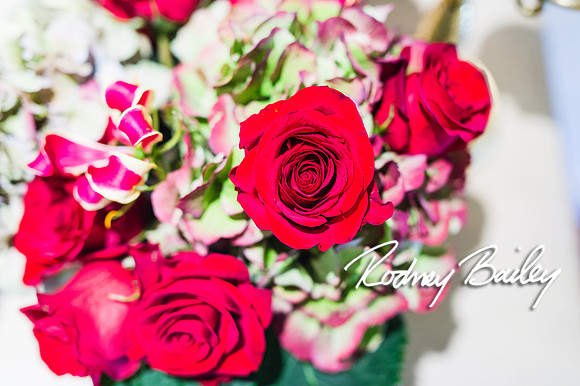 0064__10-28-14 _Bergerons Flowers_Rodney Bailey Photography
