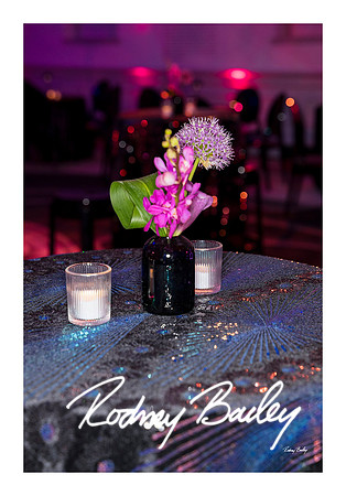 0792_1-11-25_Paul-50th-Birthday-Celebration-Renwick-Gallery-Washington-DC-Rodney-Bailey-Photography
