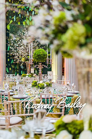 4-25-14 CORCORAN BALL DECOR_Rodney Bailey Photography_EventPhotojournalism_0322