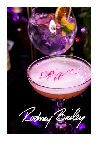 0933_1-11-25_Paul-50th-Birthday-Celebration-Renwick-Gallery-Washington-DC-Rodney-Bailey-Photography