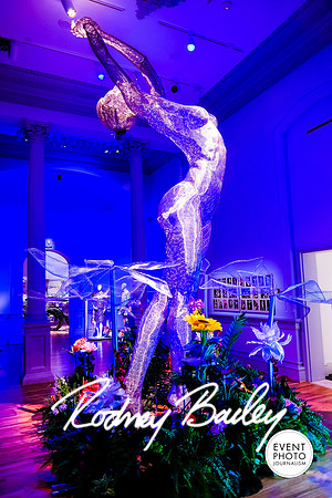Host-Your-Event-at-the-Smithsonian-Washington-DC-event-photographers-Event-Photojournalism-photography__0047