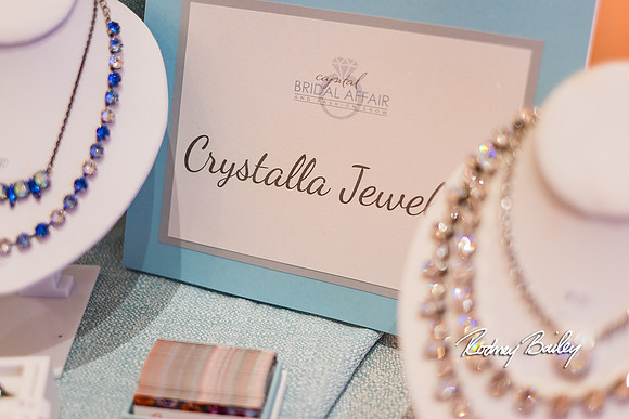 0184__3-1-15_Capital Bridal Affair and Fashion Show_The Mayflower Renaissance_Washington DC_Wedding Photography by Rodney Bailey