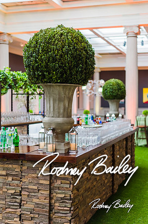 4-25-14 CORCORAN BALL DECOR_Rodney Bailey Photography_EventPhotojournalism_0458