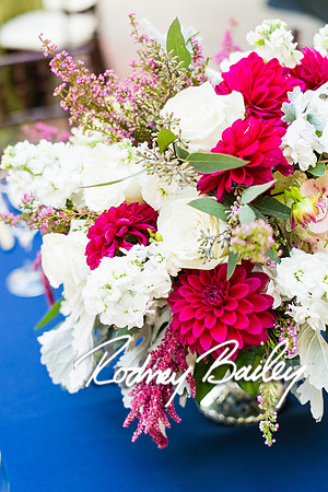 0050_10-26-14_The Atrium at Meadowlark Gardens Wedding_ Open House_Rodney Bailey Photography