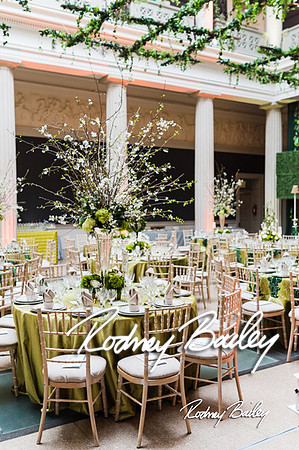 4-25-14 CORCORAN BALL DECOR_Rodney Bailey Photography_EventPhotojournalism_0253