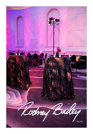 0733_1-11-25_Paul-50th-Birthday-Celebration-Renwick-Gallery-Washington-DC-Rodney-Bailey-Photography