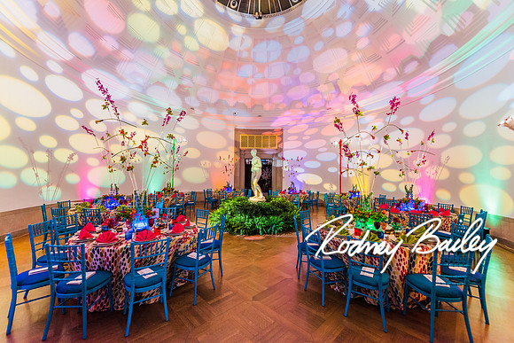 4-25-14 CORCORAN BALL DECOR_Rodney Bailey Photography_EventPhotojournalism_0627