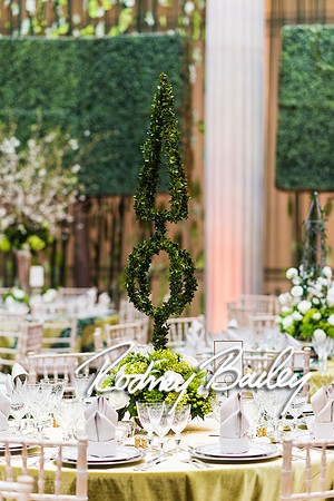 4-25-14 CORCORAN BALL DECOR_Rodney Bailey Photography_EventPhotojournalism_0250