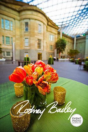 Host-Your-Event-at-the-Smithsonian-Washington-DC-event-photographers-Event-Photojournalism-photography__0113