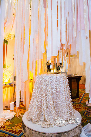 0101__3-1-15_Capital Bridal Affair and Fashion Show_The Mayflower Renaissance_Washington DC_Wedding Photography by Rodney Bailey