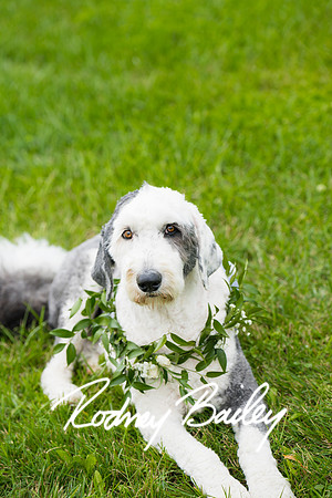 1192__Beckanne-Sisk-Chase-OConnell-Wedding-Inn-At-Little-Washington-Virginia-Rodney-Bailey-Photography