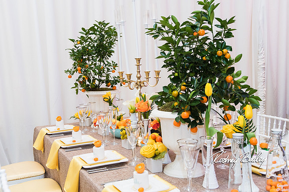 0109__3-1-15_Capital Bridal Affair and Fashion Show_The Mayflower Renaissance_Washington DC_Wedding Photography by Rodney Bailey