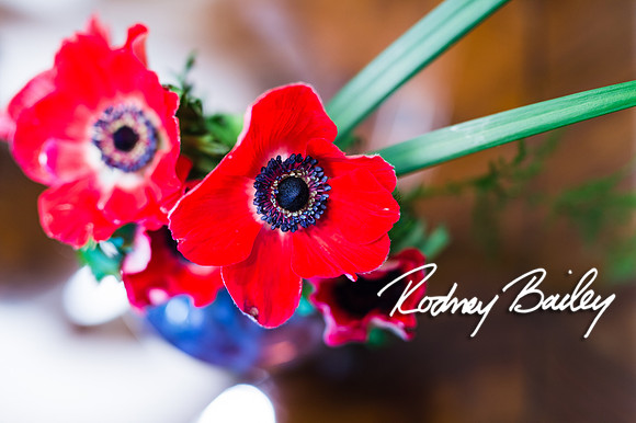 0066__10-28-14 _Bergerons Flowers_Rodney Bailey Photography
