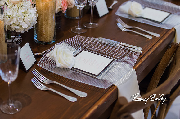 0237__3-1-15_Capital Bridal Affair and Fashion Show_The Mayflower Renaissance_Washington DC_Wedding Photography by Rodney Bailey
