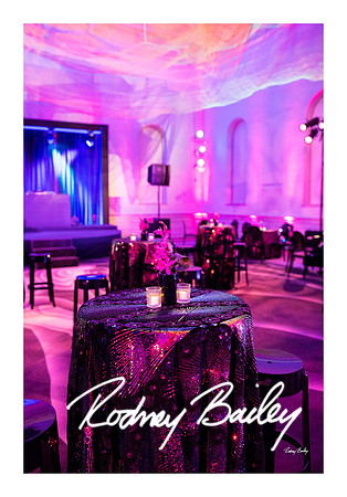 0765_1-11-25_Paul-50th-Birthday-Celebration-Renwick-Gallery-Washington-DC-Rodney-Bailey-Photography