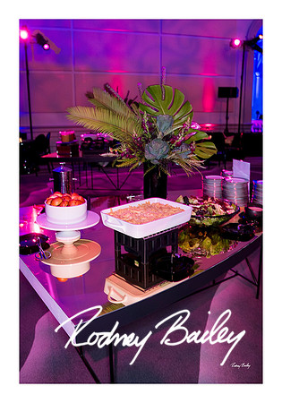 0902_1-11-25_Paul-50th-Birthday-Celebration-Renwick-Gallery-Washington-DC-Rodney-Bailey-Photography