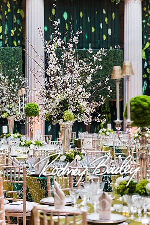 4-25-14 CORCORAN BALL DECOR_Rodney Bailey Photography_EventPhotojournalism_0239