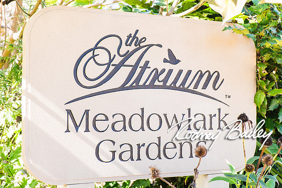 0090_10-26-14_The Atrium at Meadowlark Gardens Wedding_ Open House_Rodney Bailey Photography