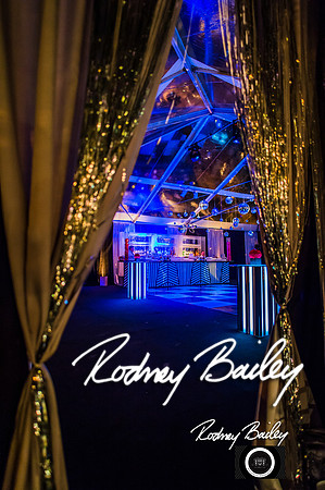0129__10-17-14 MERIDIAN BALL_RODNEY BAILEY PHOTOGRAPHY_Meridian House Washington DC