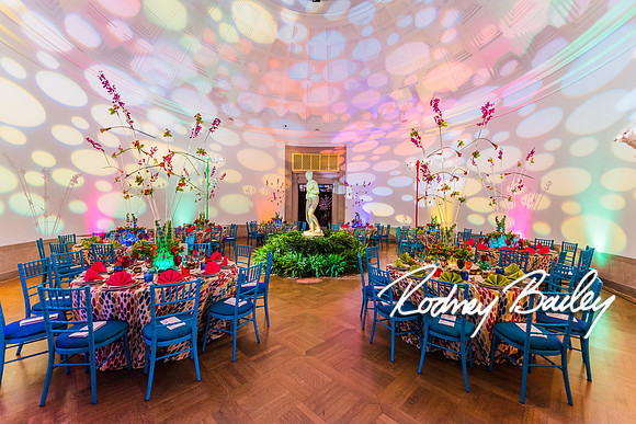4-25-14 CORCORAN BALL DECOR_Rodney Bailey Photography_EventPhotojournalism_0626