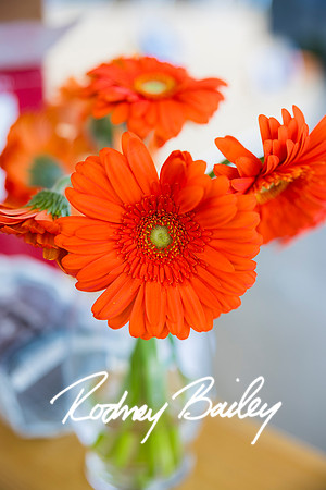 0032__6-21-25_Mark-Schramek-Kevin-Tarpey-wedding-HQO-events-DC-Rodney-Bailey-Photography