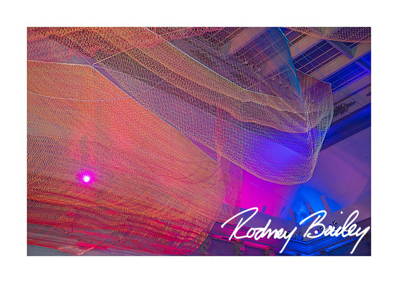 0719_1-11-25_Paul-50th-Birthday-Celebration-Renwick-Gallery-Washington-DC-Rodney-Bailey-Photography
