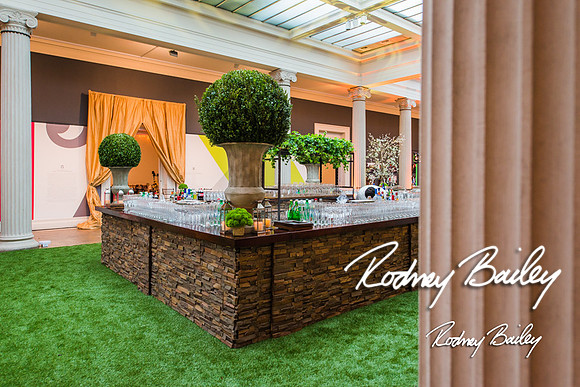 4-25-14 CORCORAN BALL DECOR_Rodney Bailey Photography_EventPhotojournalism_0673