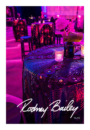 1001_1-11-25_Paul-50th-Birthday-Celebration-Renwick-Gallery-Washington-DC-Rodney-Bailey-Photography