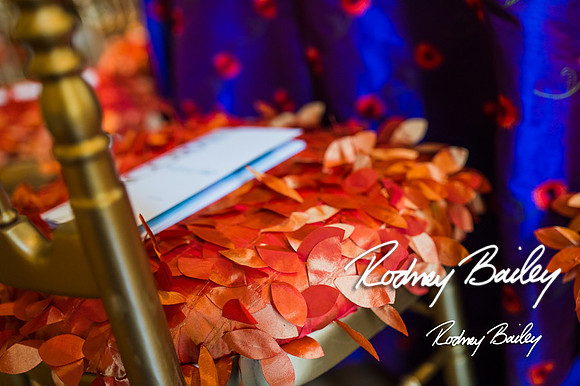 4-25-14 CORCORAN BALL DECOR_Rodney Bailey Photography_EventPhotojournalism_0375