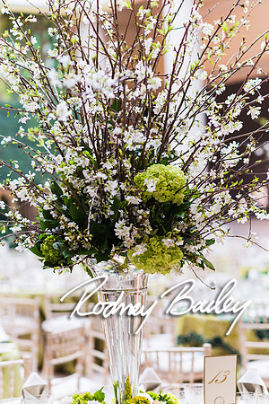 4-25-14 CORCORAN BALL DECOR_Rodney Bailey Photography_EventPhotojournalism_0245
